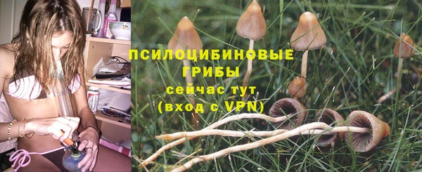 mdma Краснослободск