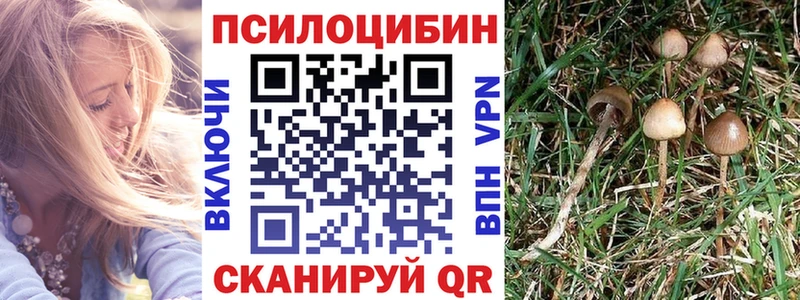 shop Telegram  Камышин  Псилоцибиновые грибы ЛСД 