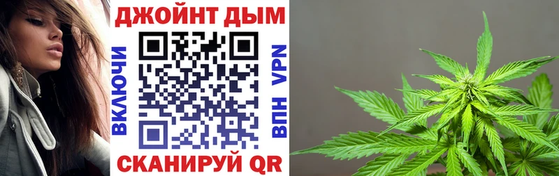 Бошки марихуана марихуана  Камышин 